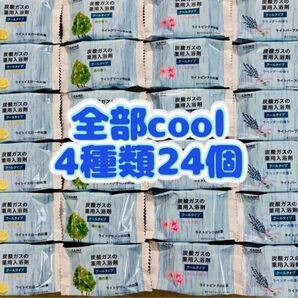 ②入浴剤 cool 薬用入浴剤 4種類24個 夏バテ