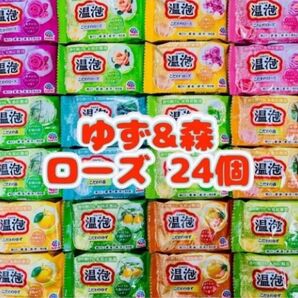入浴剤 温泡 アース製薬 透明湯 ゆず 森 ローズ新商品 12種類24個