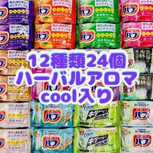 ①H24 定番 入浴剤 花王バブ 12種類24個 にごり湯kao 炭酸力 数量限定 cool