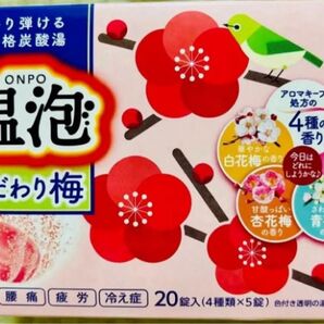 入浴剤 アース製薬 温泡 数量限定 こだわり梅 炭酸湯 4種類20個