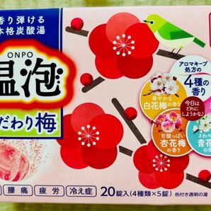 入浴剤 アース製薬 温泡 数量限定 こだわり梅 炭酸湯 4種類20個