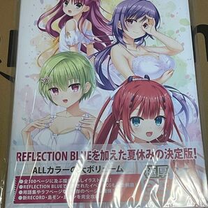 Summer Pockets REFLECTION BLUE VISUAL FANBOOK