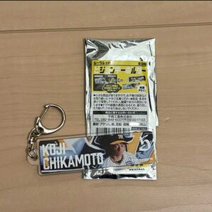 阪神タイガース 近本光司 ビジョンキーホルダー