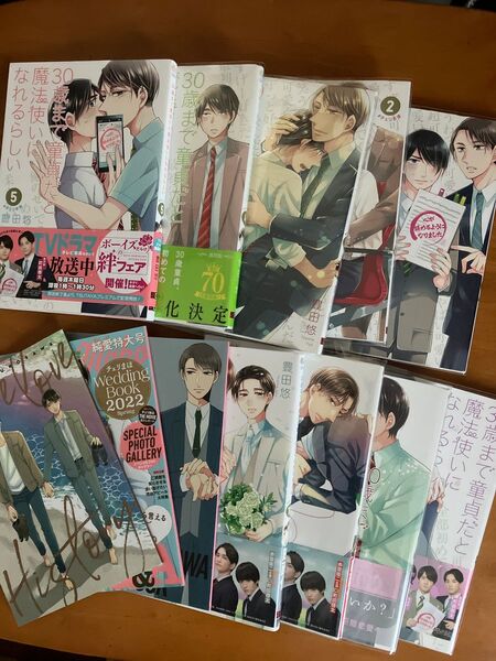 特装版あり 30歳まで童貞だと魔法使いになれるらしい 1〜7、9〜10 巻 チェリまほ 豊田悠 小冊子