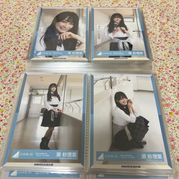 日向坂46 生写真 コンプ 潮紗理菜