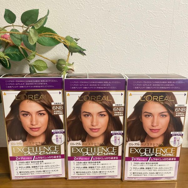 ロレアルパリ エクセランス 白髪染め LOREAL クリームタイプ 6NB×3個 やや明るい自然な栗色