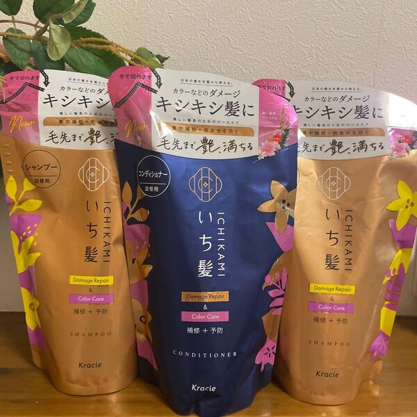 いち髪 ダメージリペア&カラーケア シャンプー&コンディショナー 詰替用 3個セット