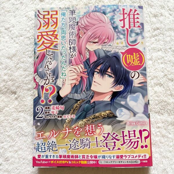 推し(嘘)の筆頭魔術師様が「俺たち、両思いだったんだね」と溺愛してくるんですが!?(2)