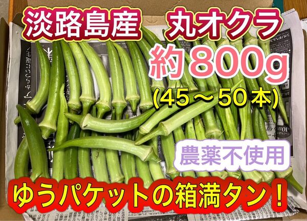 淡路島産 丸オクラ約800g(45〜50本) 【ゆうパケットの箱満タン!】栽培期間中農薬不使用