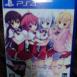 ラズベリーキューブ 通常版 PS4ソフト iMel まどそふと