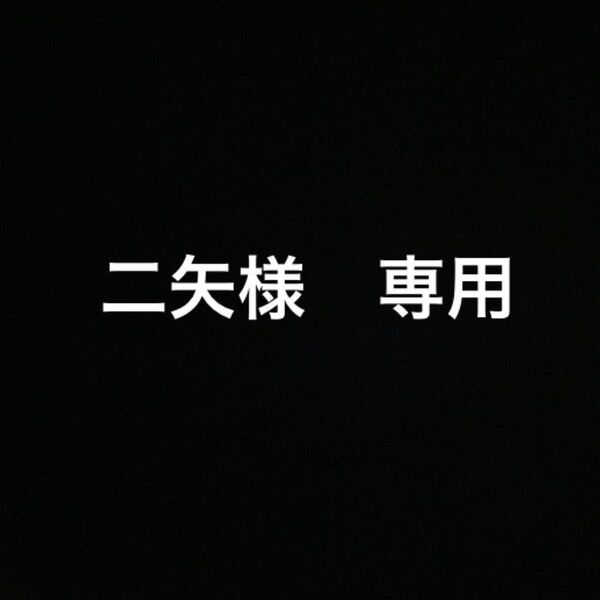 二矢様 専用