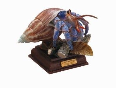 NATURE TECHNI COLOUR ネイチャーテクニカラー NTC 小笠原 特装版 ムラサキオカヤドカリ 一種 いきもん