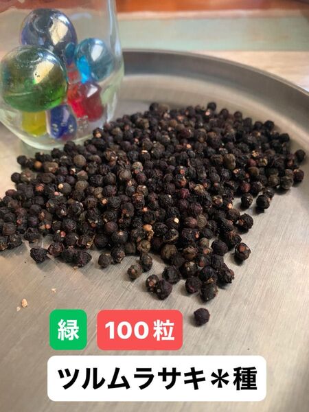 ツルムラサキつるむらさき*種 100粒