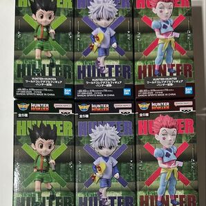 HUNTER×HUNTER ハンター×ハンター ワールドコレクタブルフィギュア -ハンター試験-