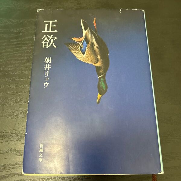 正欲 朝井リョウ 小説 文庫本