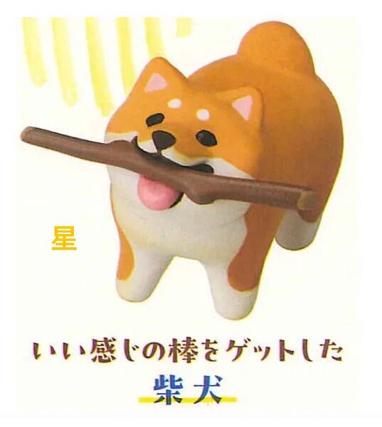 いい感じの棒をゲットした犬【柴犬】