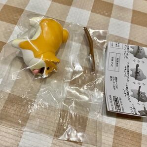 いい感じの棒をゲットした犬【柴犬】