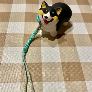 こぎさんぽ【ブラックタン 散歩から帰りたくないコーギー】