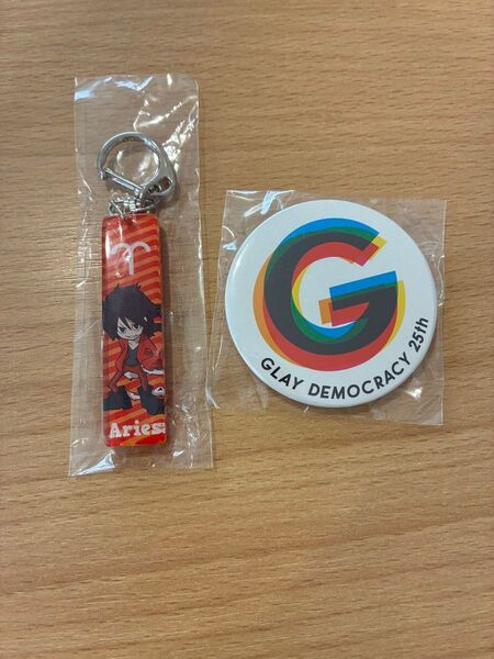 GLAY DEMOCRACY 25th 缶バッジ 、LiB cafe 2013 TERU アクリルキーホルダー 2個セット