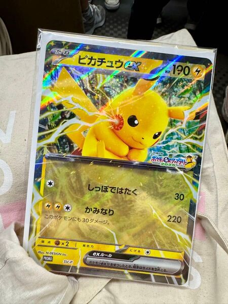 ジャンボカード「ピカチュウex」ポケモンスタンプラリー ピカチュウ ポケモンカード 【厚紙補強】押印付きスタンプ帳付き