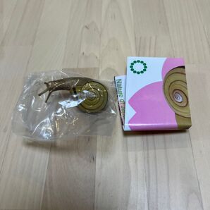 Nature of Japan 日本のいきもの3 ミスジマイマイ