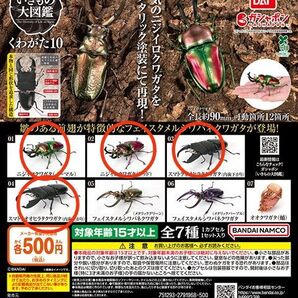いきもの大図鑑 くわがた10 ニジイロクワガタ2種 スマトラオオヒラタ2種 合計4個