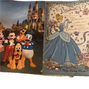 東京ディズニーリゾート クリアファイル2枚セット シンデレラ ミッキーフレンズ