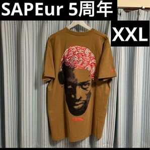 SAPEur 5周年 TシャツペイズリーロッドマンXXL ブラウン 半袖Tシャツ