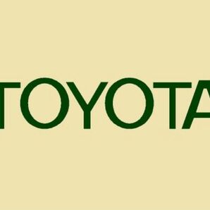当店オリジナル トヨタ FJクルーザー 【緑色】 純正エンブレム専用ドレスアップステッカー