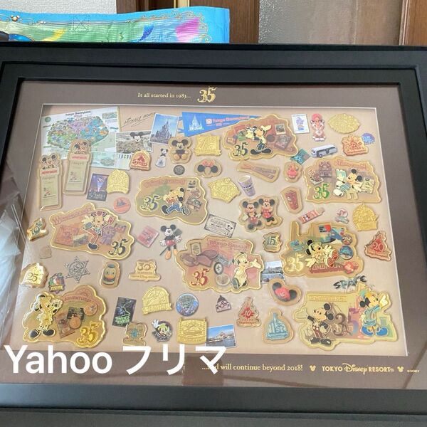 東京ディズニーランド 35周年ハピエストセレブレーション ピン(額入り) ミッキー ミニー Disney ディズニー