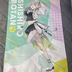 B2タペストリー、ミニタペストリーセット