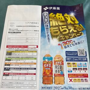伊藤園 絶対もらえるキャンペーン 応募券 複数枚