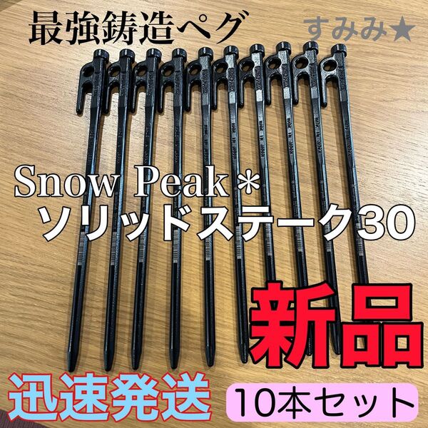 新品★スノーピーク(snow peak) ペグ 10本セット ソリッドステーク 30 R-103 鋳造ペグ キャンプ タープ設営
