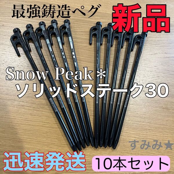 新品★スノーピーク(snow peak) ペグ 10本セット ソリッドステーク 30 R-103 鋳造ペグ BBQ タープ設営
