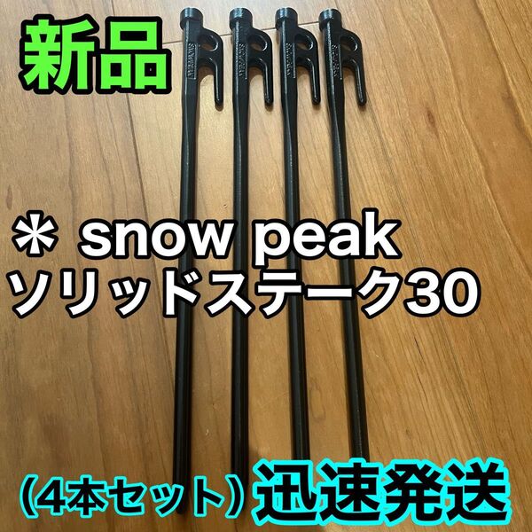 新品★スノーピーク(snow peak) ペグ 4本セット ソリッドステーク 30 R-103 鋳造ペグ キャンプ テント設営