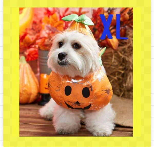 【XL】ペット ハロウィン 犬 猫服 かぼちゃ仮装 犬 ドッグウェア コスプレ