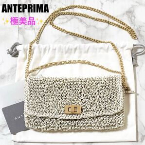 【極美品】ANTEPREMA アンテプリマ ルッケットⅡ フラットポーチ マットホワイト 付属品完備