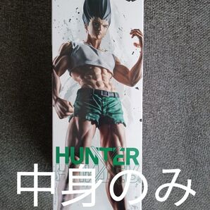 プライズ ゲーセン フィギュア ハンターハンター ゴン