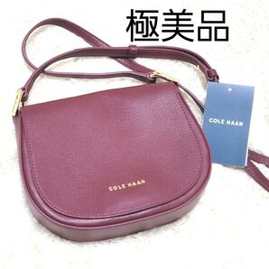 極美品 COLE HAAN コールハーン ショルダーバッグ ワンショルダー ボルドー ワインレッド レザー ゴールド金具