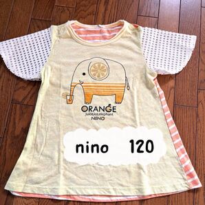 nino ニノ 半袖カットソー 120