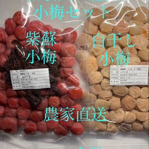 和歌山産 小梅セット 紫蘇&白干し 合計500g