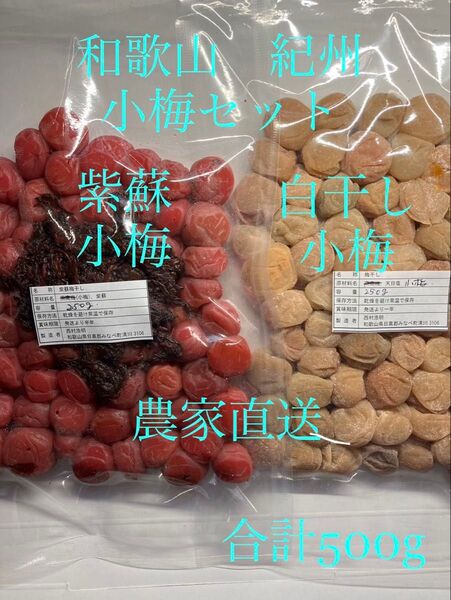 和歌山県産 小梅セット 紫蘇&白干し 合計500g