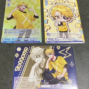 からぴち たっつん トレーディングカード 3枚セット