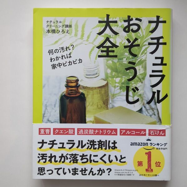ナチュラルおそうじ大全 何の汚れ?わかれば家中ピカピカ 本橋ひろえ/著