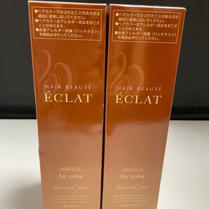 ヘアボーテ エクラ ボタニカル エアカラーフォーム ライトブラウン 2個セット