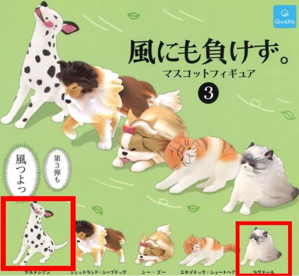 風にも負けず マスコットフィギュア ダルメシアン ラグドール ガチャガチャ ガシャポン ガチャ カプセルトイ