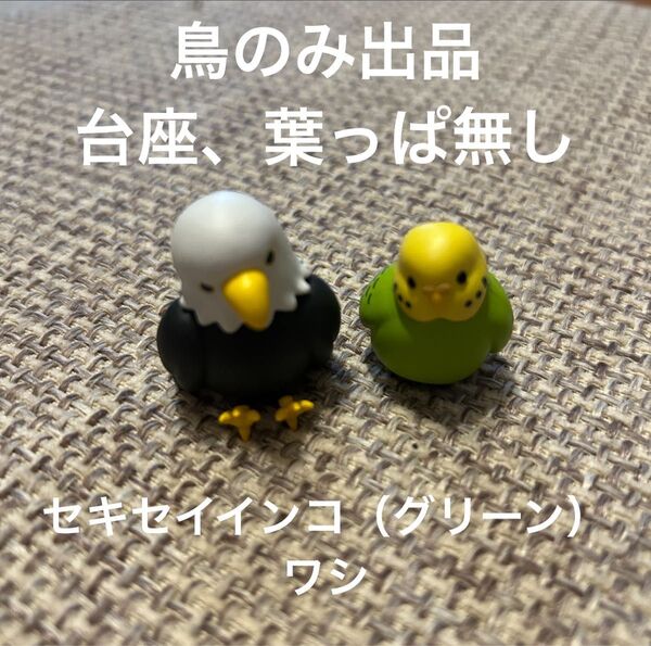 あまやどり マスコット フィギュア セキセイインコ グリーン ワシ カプセルトイ ガシャポン ガチャガチャ 鳥のみ