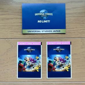 【新品未使用】USJ フリーデイトパス ペアチケット 2025年10月18日まで有効