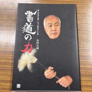 書道の力 楽しみながら書く、もっと自分らしい字 金田石城