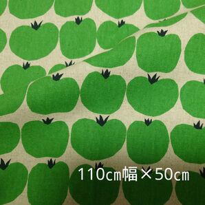 綿麻キャンバス生地 TOMATO 110×50cm SEVENBERRY トマト セブンベリー 生成り×グリーン